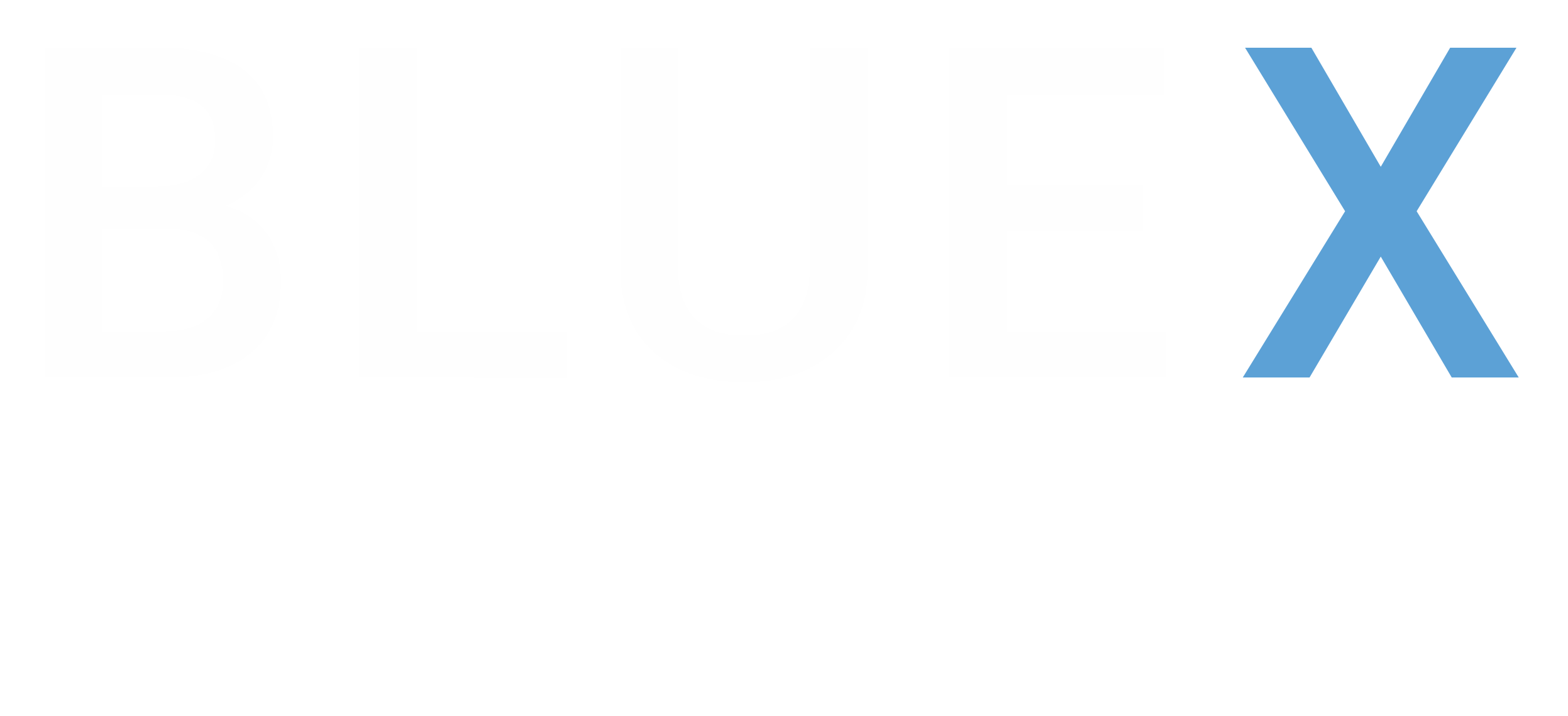 BLUEX Consulting